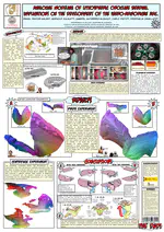 Analogue modeling of lithospheric orocline bending. Implications on the development of the Ibero-Armorican Arc.